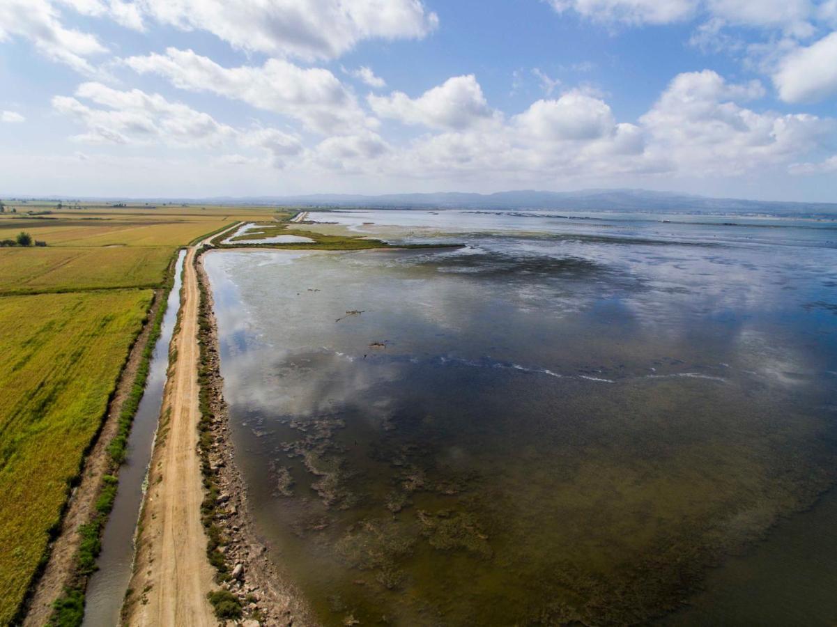 Paradise Ebro 2 ديلتيبري المظهر الخارجي الصورة