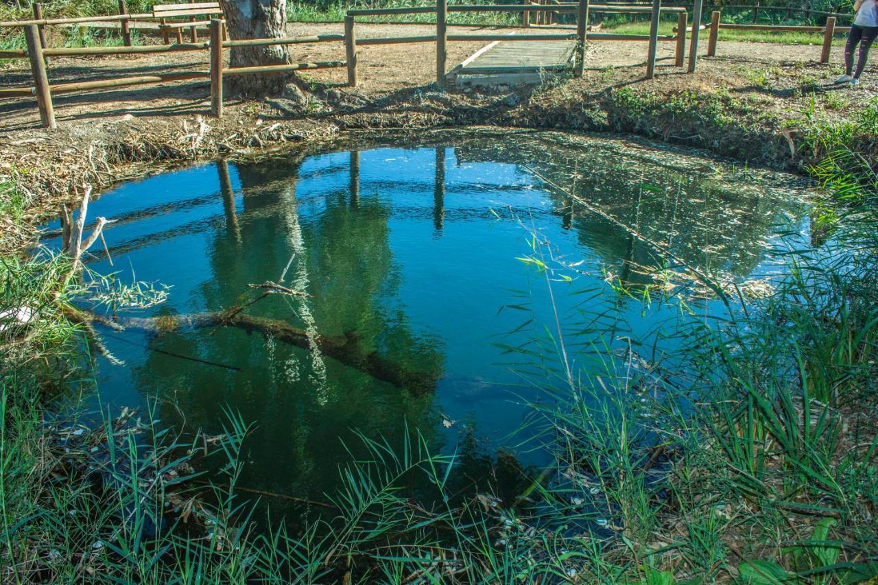 Paradise Ebro 2 ديلتيبري المظهر الخارجي الصورة